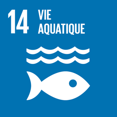 ODD n°14 - Protection de la faune et flore aquatiques